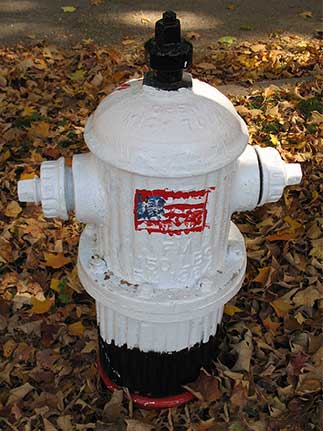 440 S. Yale - Space Shuttle (2)